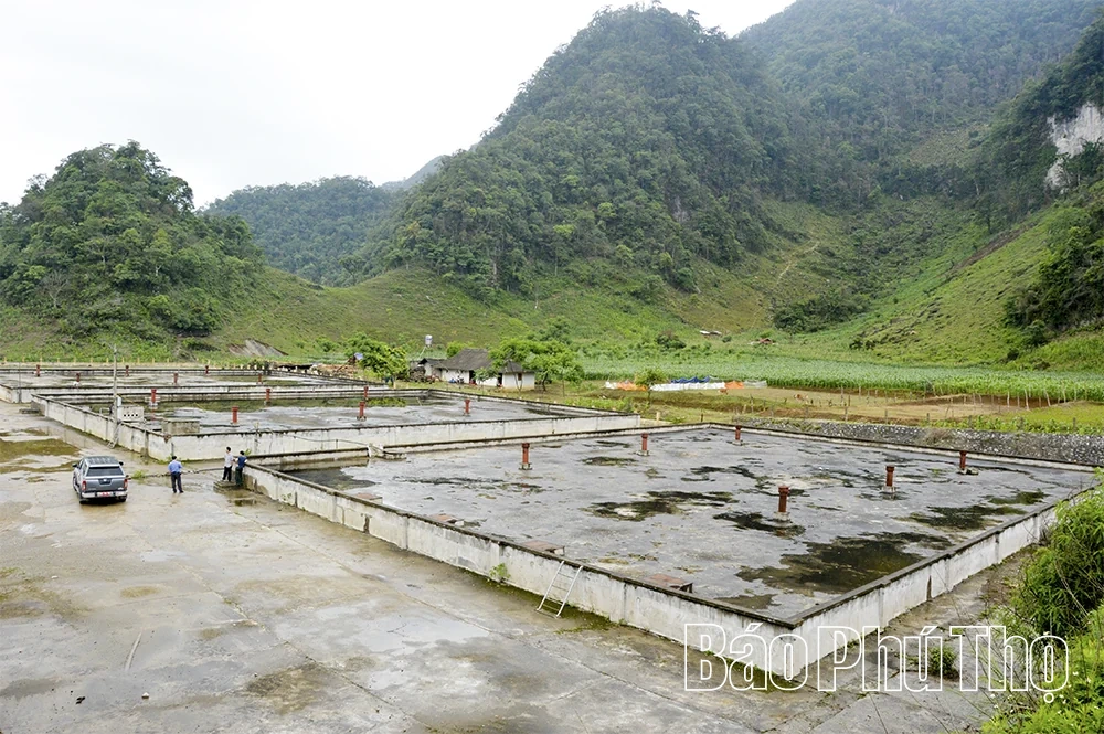 Gỡ khó trong quản lý, vận hành công trình cấp nước sạch nông thôn