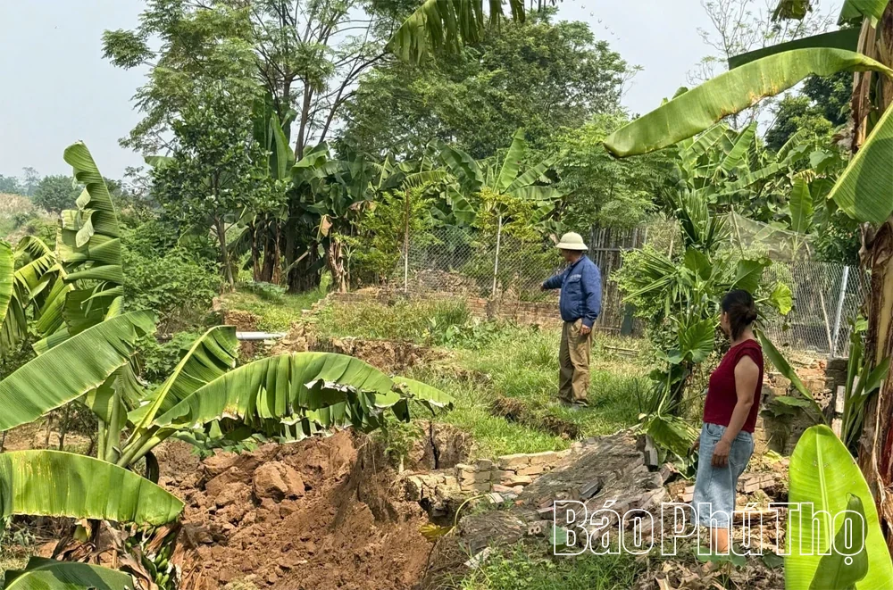 Sạt lở bờ sông tại xã Liên Minh đang diễn biến phức tạp