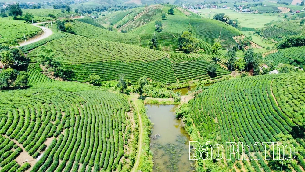 Minh Đài - Tinh gọn bộ máy gắn với yêu cầu phát triển mới