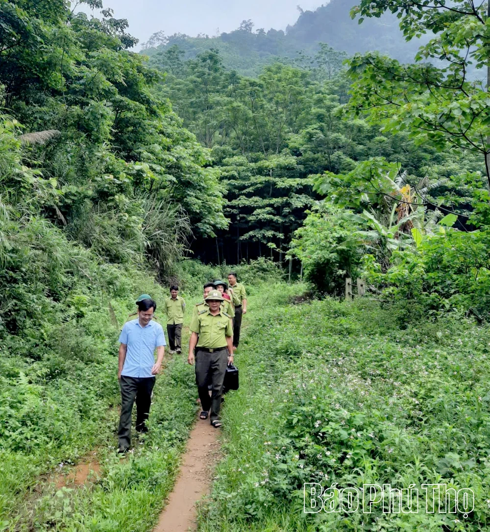 Chung sức giữ rừng Xuân Sơn