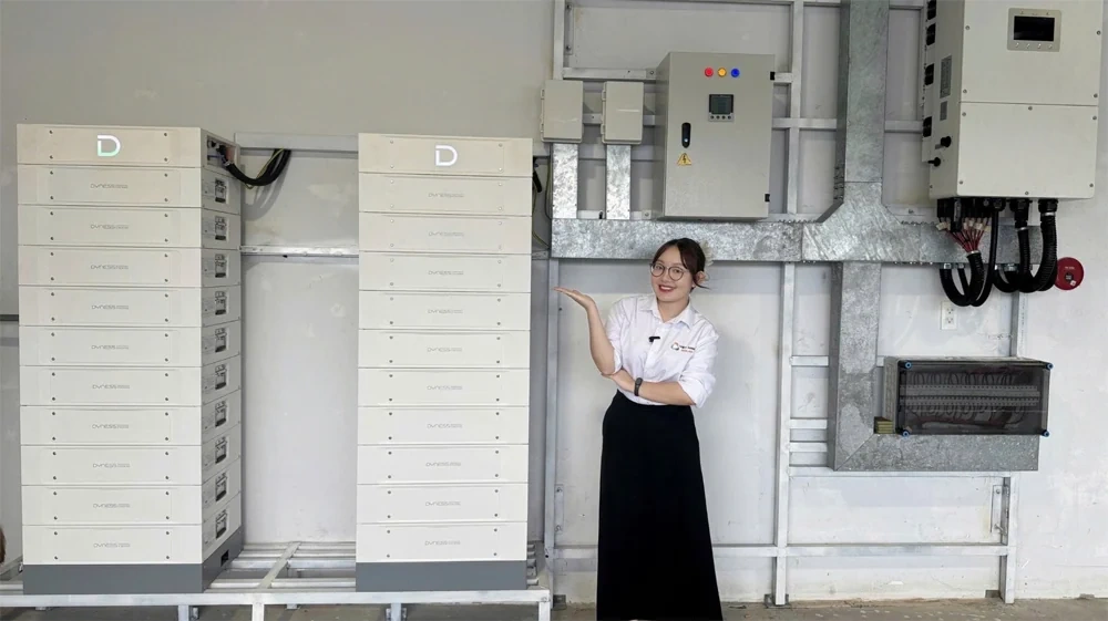 Hơn 1.000 doanh nghiệp lựa chọn Việt Nam Solar là đối tác phân phối thiết bị điện mặt trời