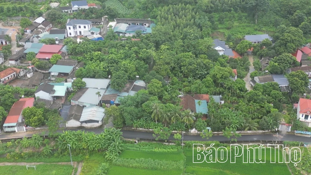Từ phân loại rác đến nếp sống xanh ở Đại Đình