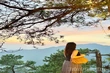 Tam Dao in the Gentle Glow of Sunset