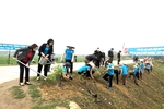 Phát huy vai trò của chi bộ Đảng trong xây dựng nông thôn mới
