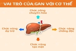 Cách sử dụng cà chua bổ gan