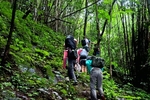 Dalat Hiking Tour: Cảm nhận Đà Lạt theo cách riêng
