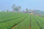 Điểm du lịch 4 mùa