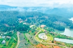 Nhận diện 