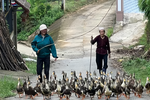 Đồng hành cùng phụ nữ vươn lên phát triển kinh tế