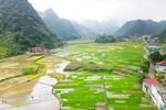 Vân Sơn vươn mình đổi mới