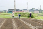 Xã Vĩnh Hưng: Đột phá mở hướng đi mới