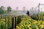 Xuân Lãng gỡ khó việc vận hành chính quyền địa phương 2 cấp