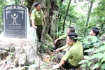 “Linh khí” nghìn năm giữa đại ngàn Bo Trẳm