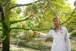 Vĩnh Hanh khởi sắc từ kinh tế nông nghiệp