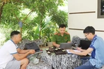 Phát hiện 2 đối tượng mua, bán động vật mắc bệnh dịch tả lợn châu Phi