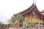 Serenity at Thanh Lanh Pagoda