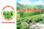 Quản lý và phát triển nhãn hiệu để nâng tầm thương hiệu “Chè Phú Thọ”