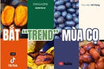 Bắt “trend” mùa cọ