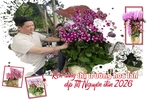 Rộn ràng thị trường hoa lan dịp Tết Nguyên đán 2026