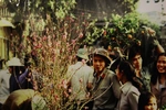 Chợ hoa Tết ở Hà Nội thập niên 1980