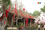 Ha Tien pagoda - A sacred space in the heart of the city