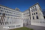 Đàm phán của WTO rơi vào bế tắc, không đạt thỏa thuận về những vấn đề cốt lõi