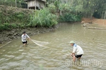 Xã Toàn Thắng đánh thức tiềm năng nuôi cá dầm xanh