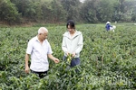 HTX Dịch vụ Nông nghiệp Hưng Long - Liên kết để phát triển