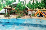 Đảo Ngọc - Thiên đường xanh giữa lòng hồ