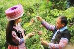 Dấu ấn của người thủ lĩnh đảng viên bản Mông