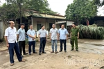 Kiểm tra công tác quản lý hoạt động giết mổ động vật, đảm bảo an toàn vệ sinh thực phẩm