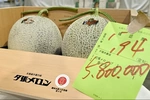 Dưa lưới Hokkaido thượng hạng của Nhật Bản đạt mức giá kỷ lục 36.500USD