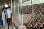 Những phú nông Yên Sơn