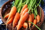 Giá cả thị trường ngày 21/5/2026