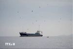 Xung đột tại Trung Đông: Nổ lớn gần eo biển Hormuz