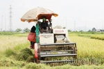 Vụ Xuân đạt kết quả cao
