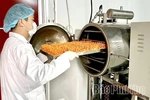 Hiền Quan&nbsp;thúc đẩy&nbsp;sản xuất&nbsp;nông nghiệp&nbsp;gắn với&nbsp;xây dựng nông thôn mới