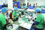 Đồng bộ các giải pháp nâng cao giá trị sản xuất nông nghiệp