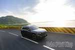 Honda Việt Nam: Tất cả ô tô, xe máy chính hãng đều sử dụng được xăng sinh học E10
