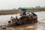 Thọ Văn vào vụ mới