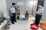Phát hiện cơ sở sản xuất súp mì tôm giả quy mô lớn tại Hà Nội