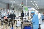 International Economic Integration – A New Growth Driver for Phu Tho