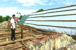 Xã Bình Phú kiểm tra, chỉ đạo khắc phục thiệt hại do dông lốc