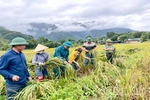 Xã Mai Châu gần dân hơn từ những việc làm cụ thể