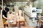 Thúc đẩy phát triển kinh tế tư nhân