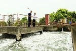 Xử lý nước thải tập trung - lá chắn cho môi trường