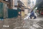 Thời tiết ngày 11/7: Khu vực Bắc Bộ và Trung Bộ mưa to, biển động mạnh