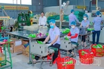 Nâng cao chất lượng sản phẩm OCOP gắn với bảo vệ môi trường