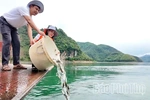 Tái tạo nguồn lợi thủy sản bền vững