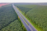 Quy hoạch đường cao tốc: Cả nước sẽ có 46 tuyến, chiều dài hơn 10.100km